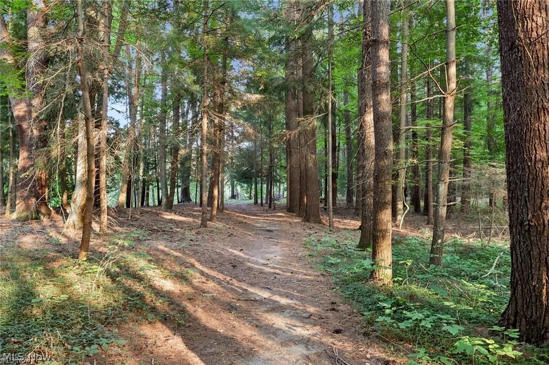 10571 Mayfield Road Chesterland, OH 44026 - Photo 28 of 39 Woodland trails with breathtaking Nature all around.