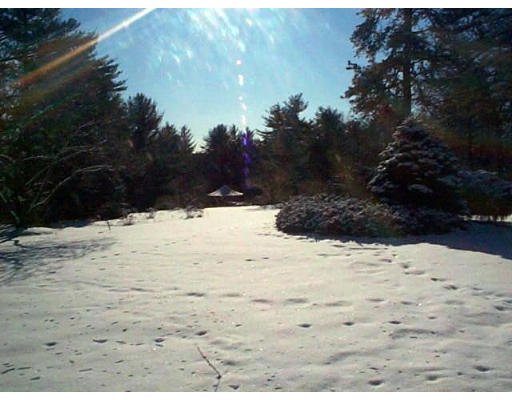 141 Bolton Road Harvard, MA 01451 - Photo 7 of 7 a view of a yard covered in snow