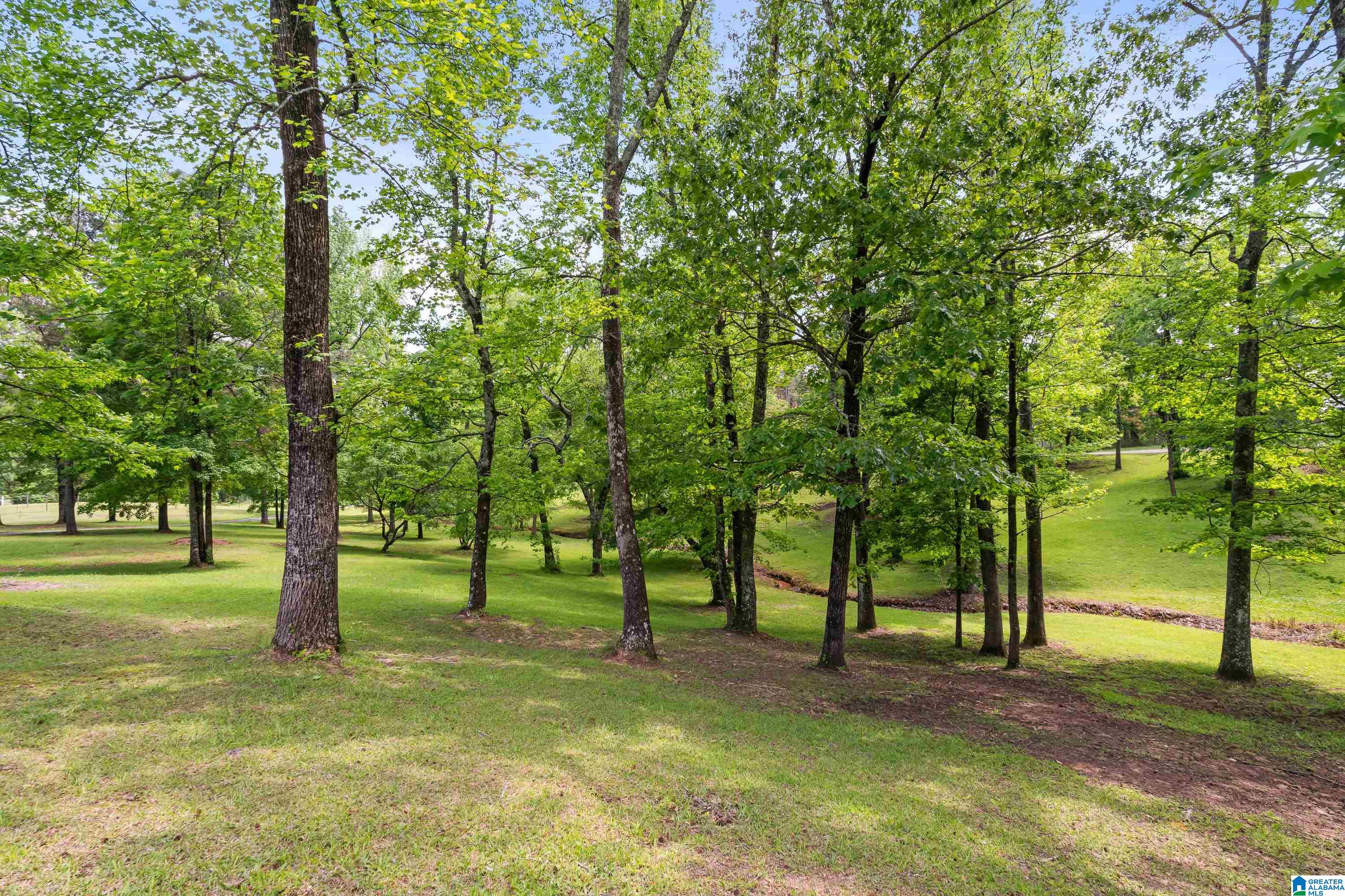 3671 White Road Dora, AL 35062 - Photo 59 of 67