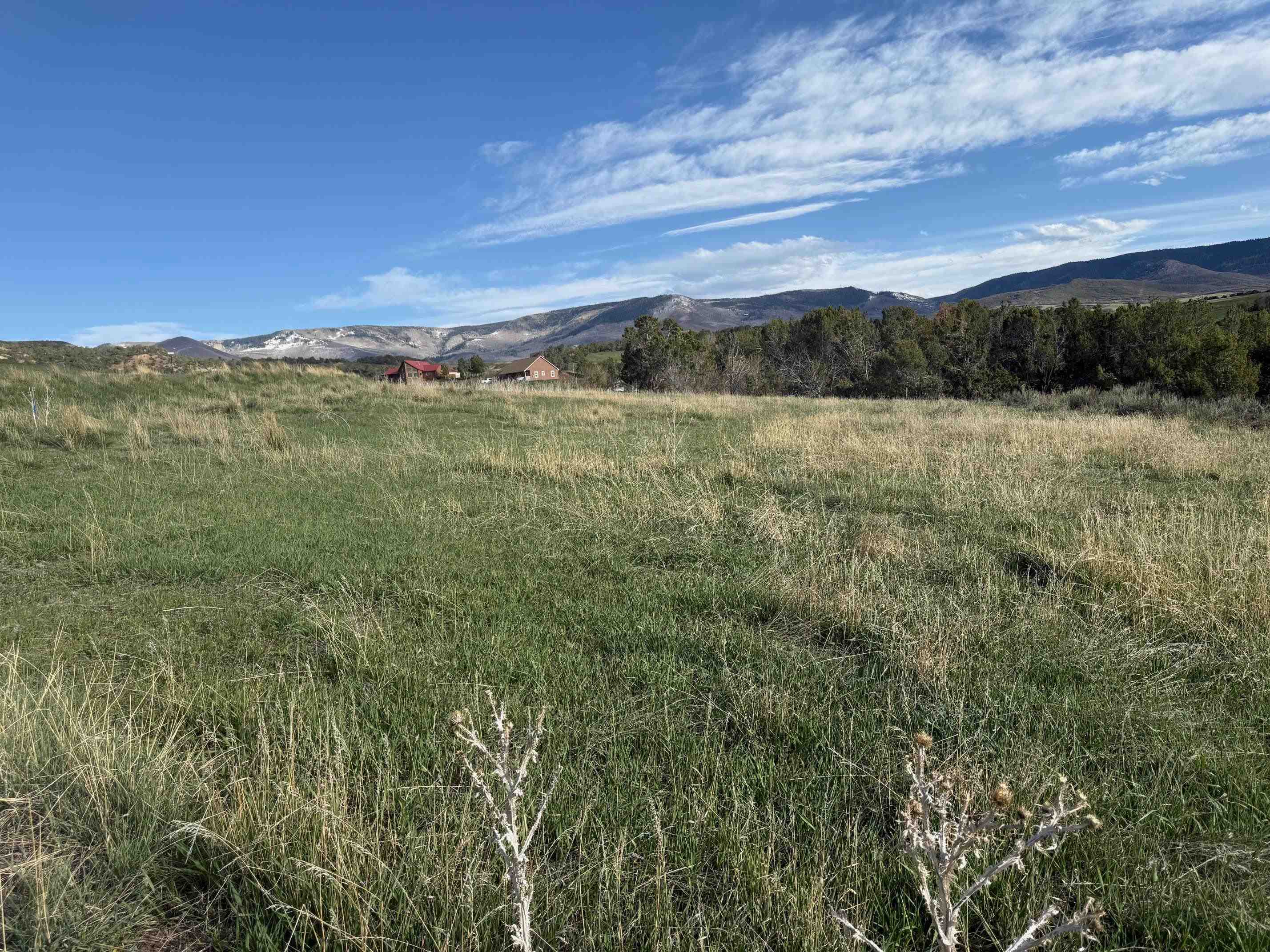 14495 Scott Loop Collbran, CO 81624 - Photo 9 of 12 a view of a green field