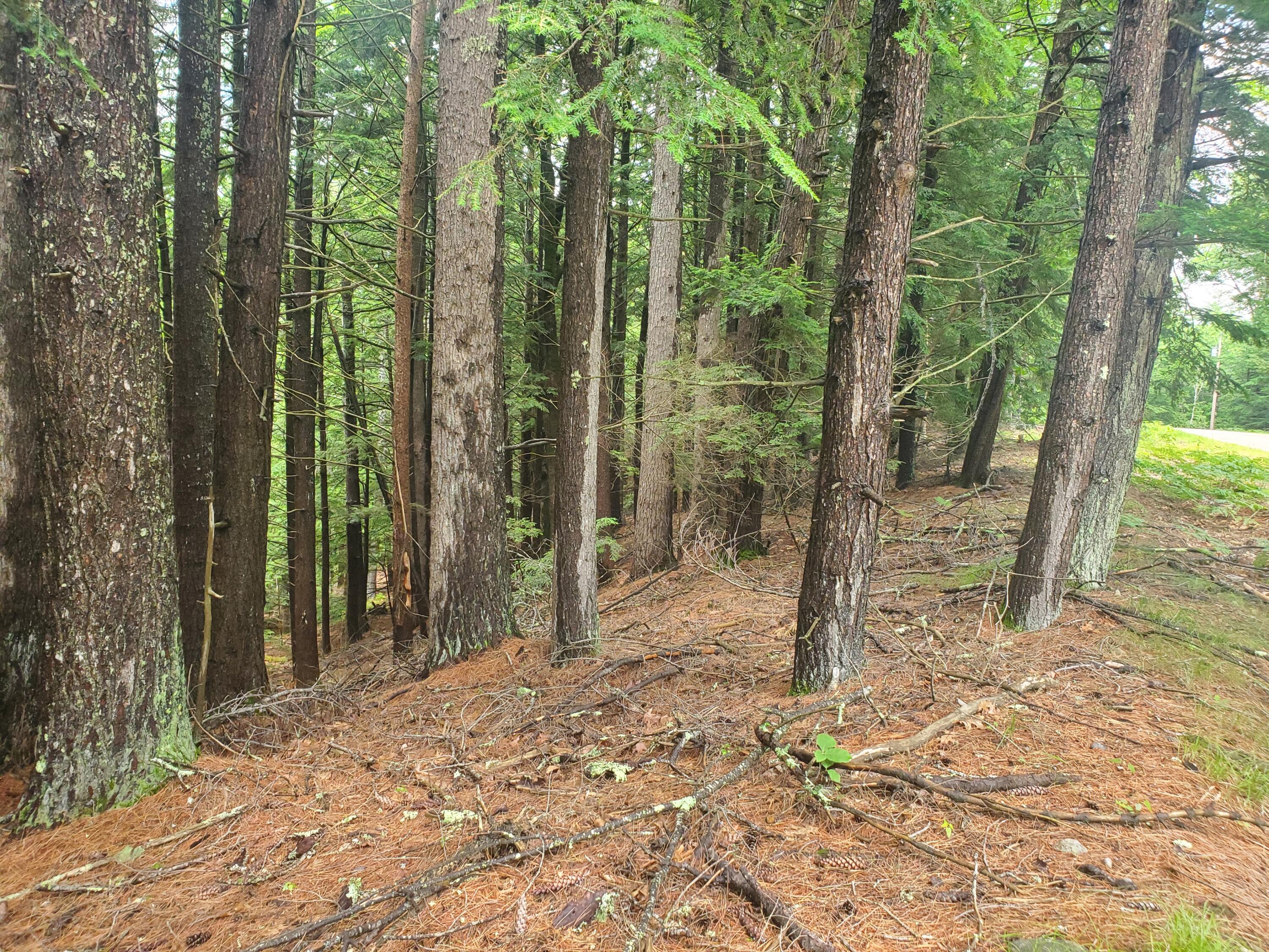 Lot #36 Beaver Brook Road Limerick, ME 04048 - Photo 8 of 18 20260626_134054