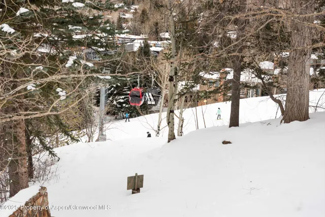 $250,000 | 730 South Galena Street, Aspen, CO 81611