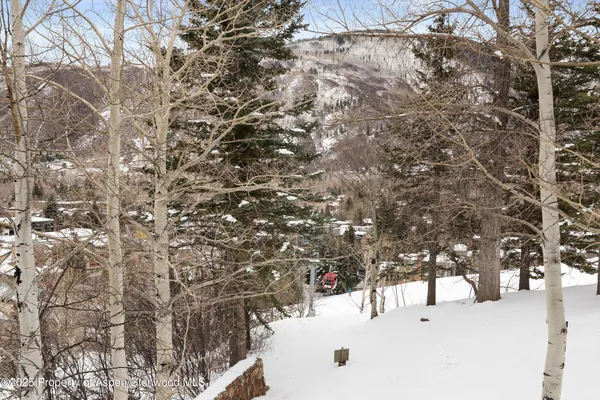 $250,000 | 730 South Galena Street, Aspen, CO 81611