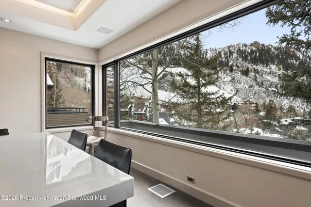 $250,000 | 730 South Galena Street, Aspen, CO 81611