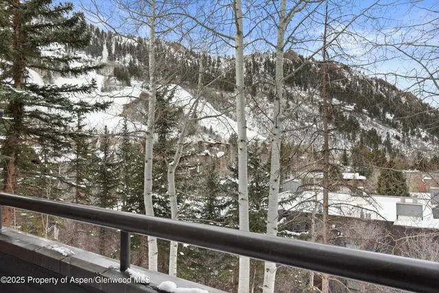 $250,000 | 730 South Galena Street, Aspen, CO 81611