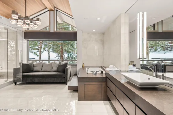 $250,000 | 730 South Galena Street, Aspen, CO 81611