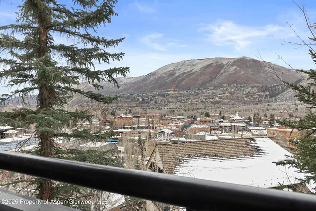 $250,000 | 730 South Galena Street, Aspen, CO 81611