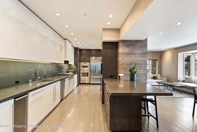 $250,000 | 730 South Galena Street, Aspen, CO 81611