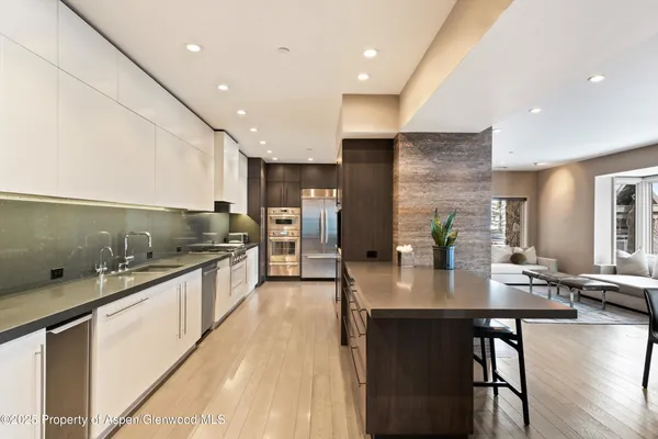 $250,000 | 730 South Galena Street, Aspen, CO 81611