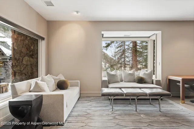 $250,000 | 730 South Galena Street, Aspen, CO 81611