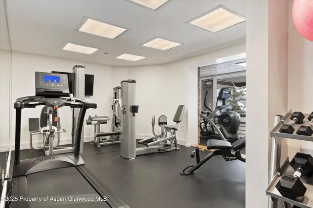 $250,000 | 730 South Galena Street, Aspen, CO 81611