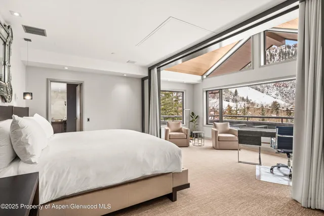 $250,000 | 730 South Galena Street, Aspen, CO 81611