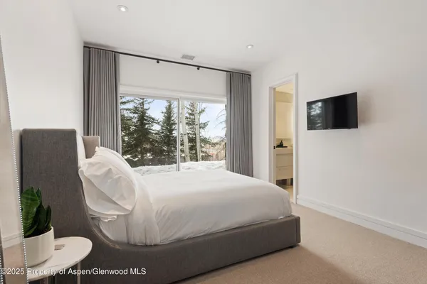 $250,000 | 730 South Galena Street, Aspen, CO 81611