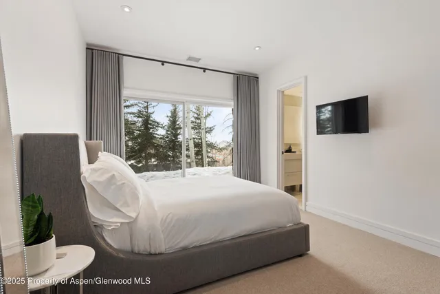 $250,000 | 730 South Galena Street, Aspen, CO 81611