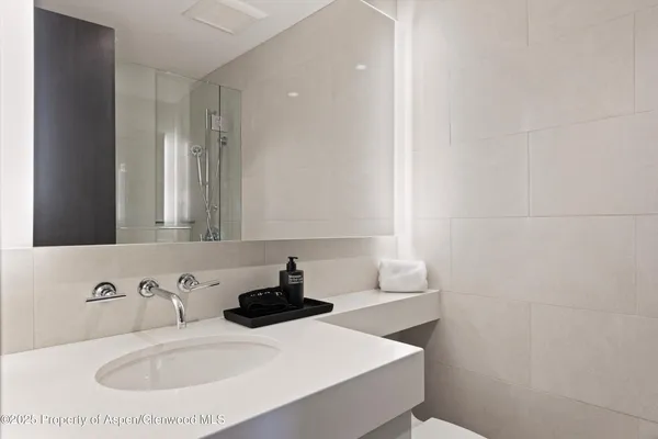 $250,000 | 730 South Galena Street, Aspen, CO 81611