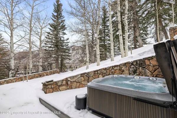 $250,000 | 730 South Galena Street, Aspen, CO 81611