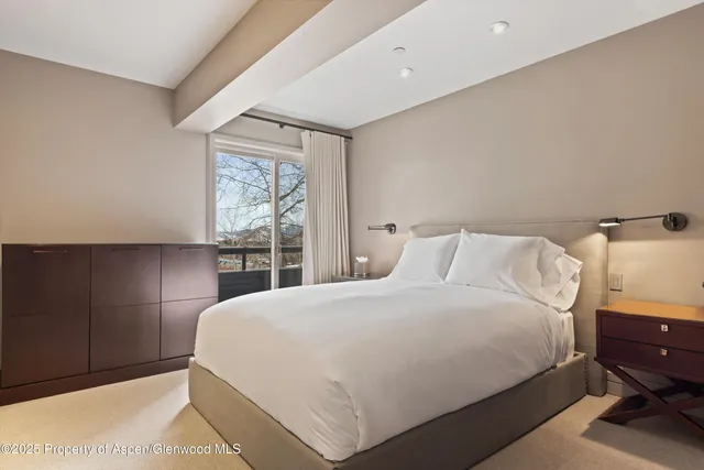 $250,000 | 730 South Galena Street, Aspen, CO 81611