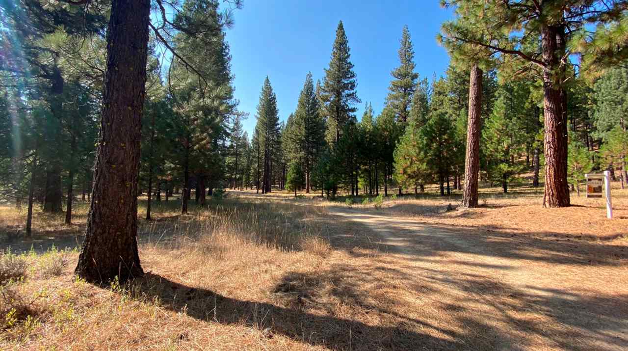361 Clio State 40A Road Clio, CA 96106 - Photo 4 of 19 Gallery Image 4