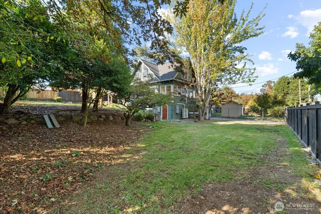 a view of a yard with a large tree