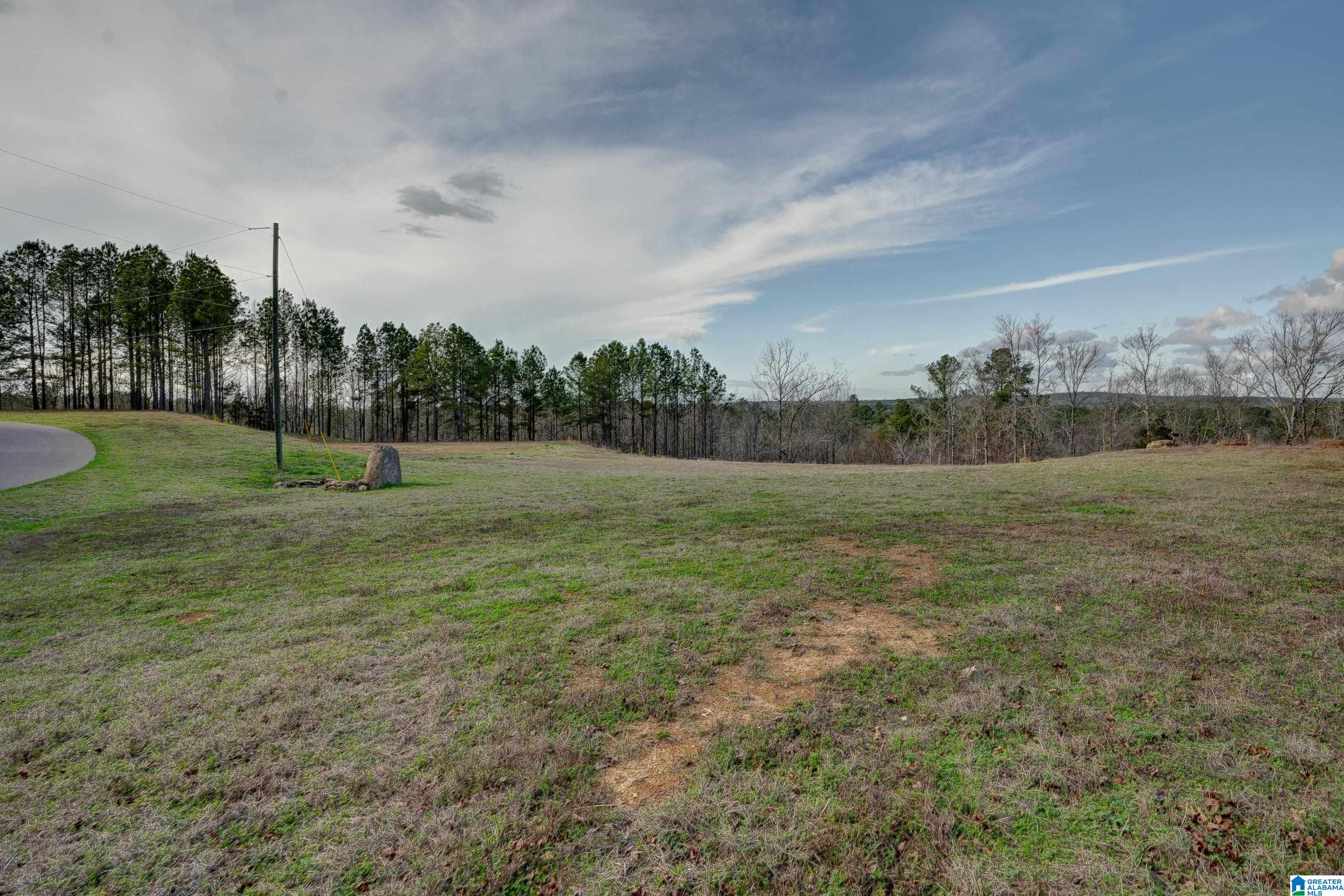 1321 Red Oak Road Helena, AL 35080 - Photo 6 of 12