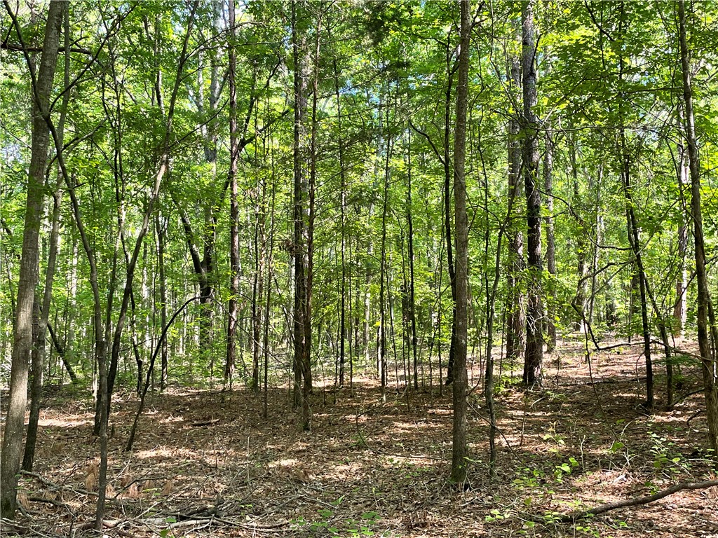 0 Clatworthy Road Honea Path, SC 29654 - Photo 6 of 27