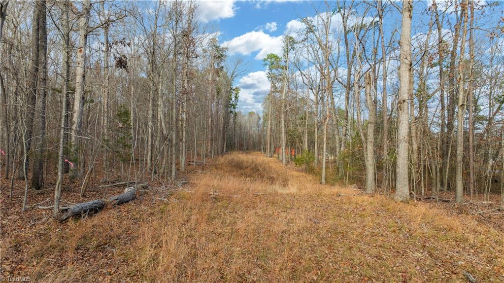 0 West Cooper Road Staley, NC 27355 - Photo 25 of 26