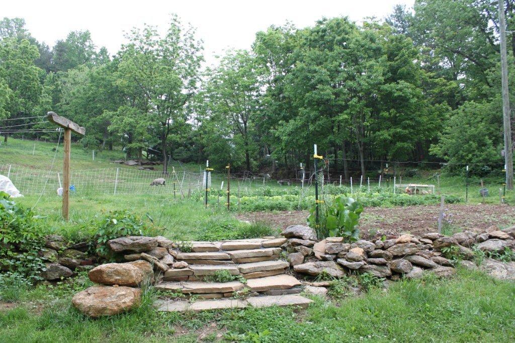 6675 Mt Chestnut Road Roanoke, VA 24018 - Photo 9 of 34 8