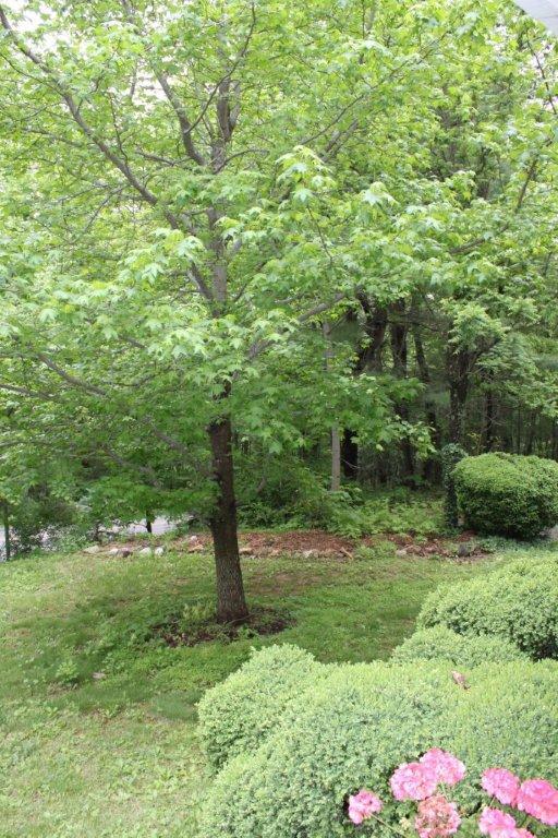 6675 Mt Chestnut Road Roanoke, VA 24018 - Photo 10 of 34 9