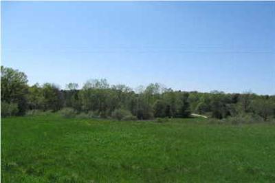 Pakes Road, Unit PAR 1 Greenville, MI 48838 - Photo 1 of 6 Primary Photo