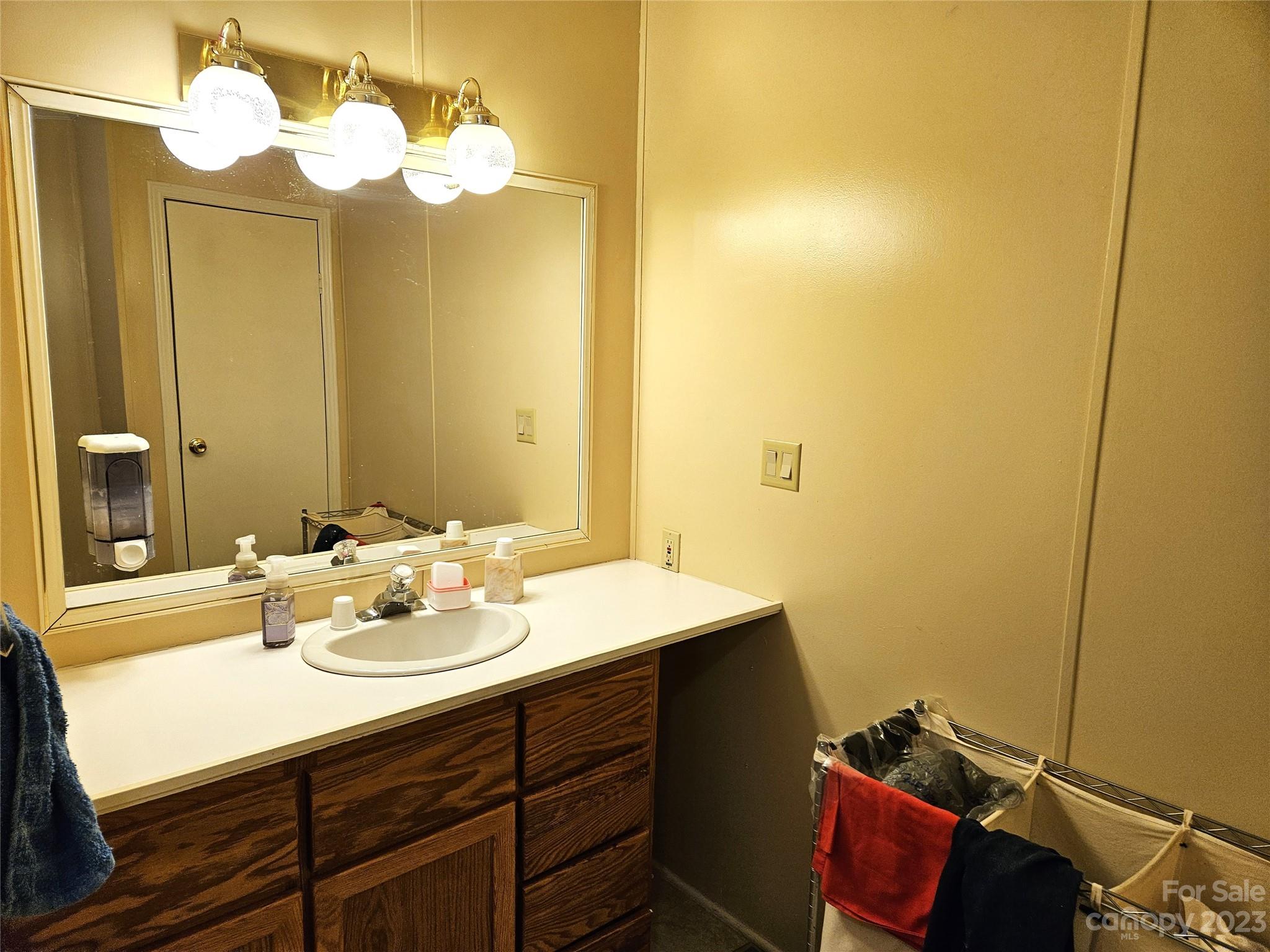 2955 Piney Road Morganton, NC 28655 - Photo 24 of 43 a bathroom with a sink and a mirror