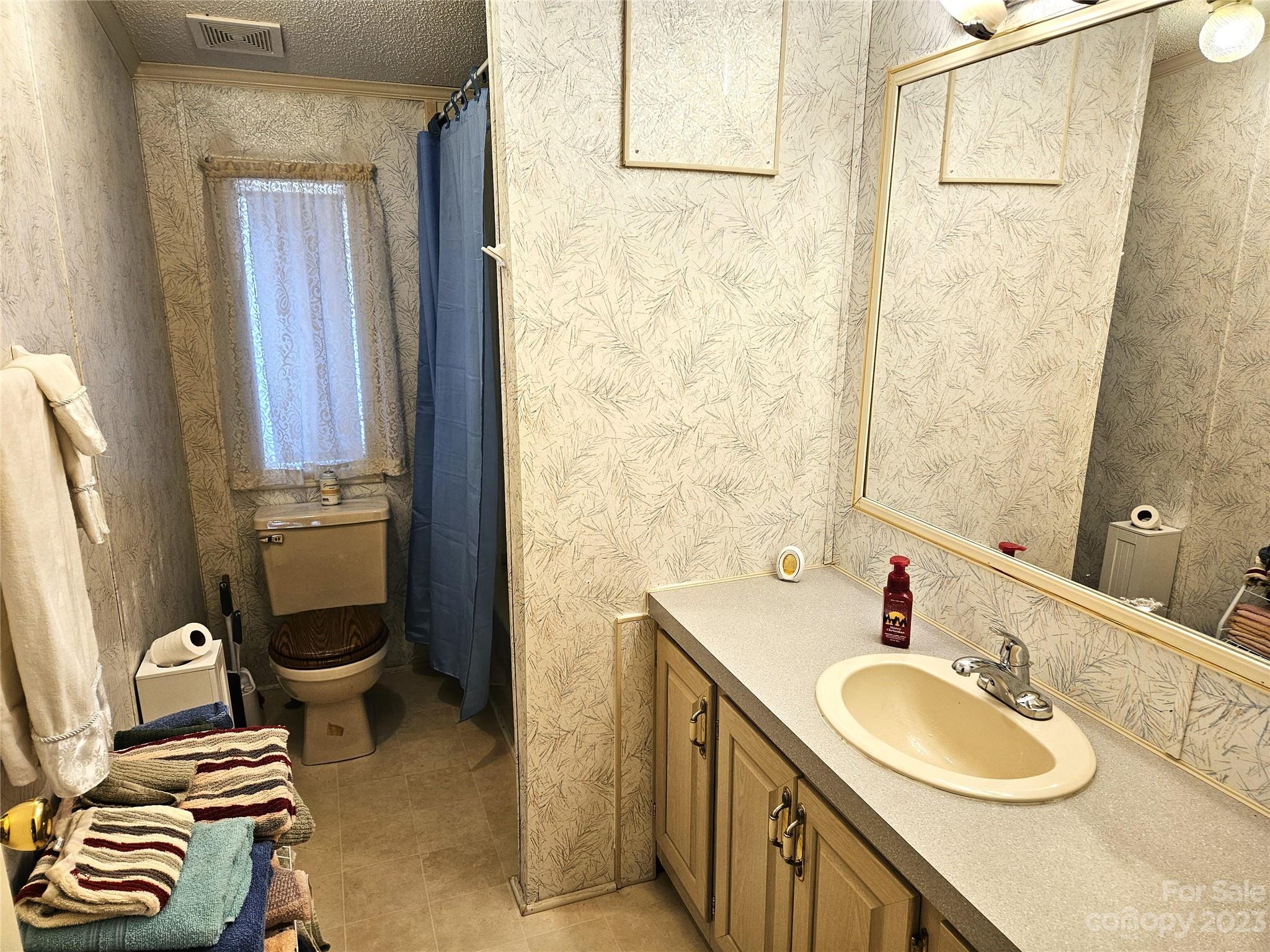 2955 Piney Road Morganton, NC 28655 - Photo 29 of 43 a bathroom with a sink a toilet and a mirror