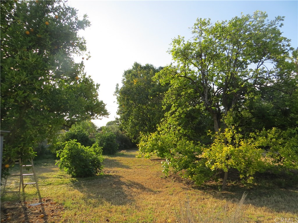 245 Longley Way Arcadia, CA 91007 - Photo 56 of 60