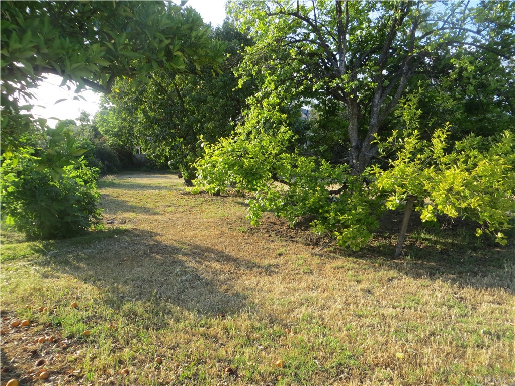 245 Longley Way Arcadia, CA 91007 - Photo 60 of 60