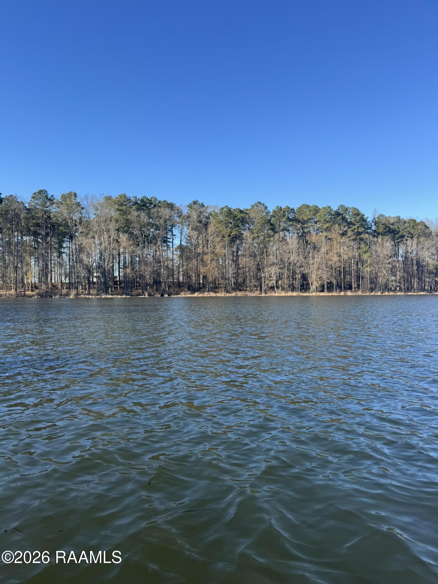 Lot 8 Ramsey Road Chatham, LA 71226 - Photo 2 of 5 IMG_0904