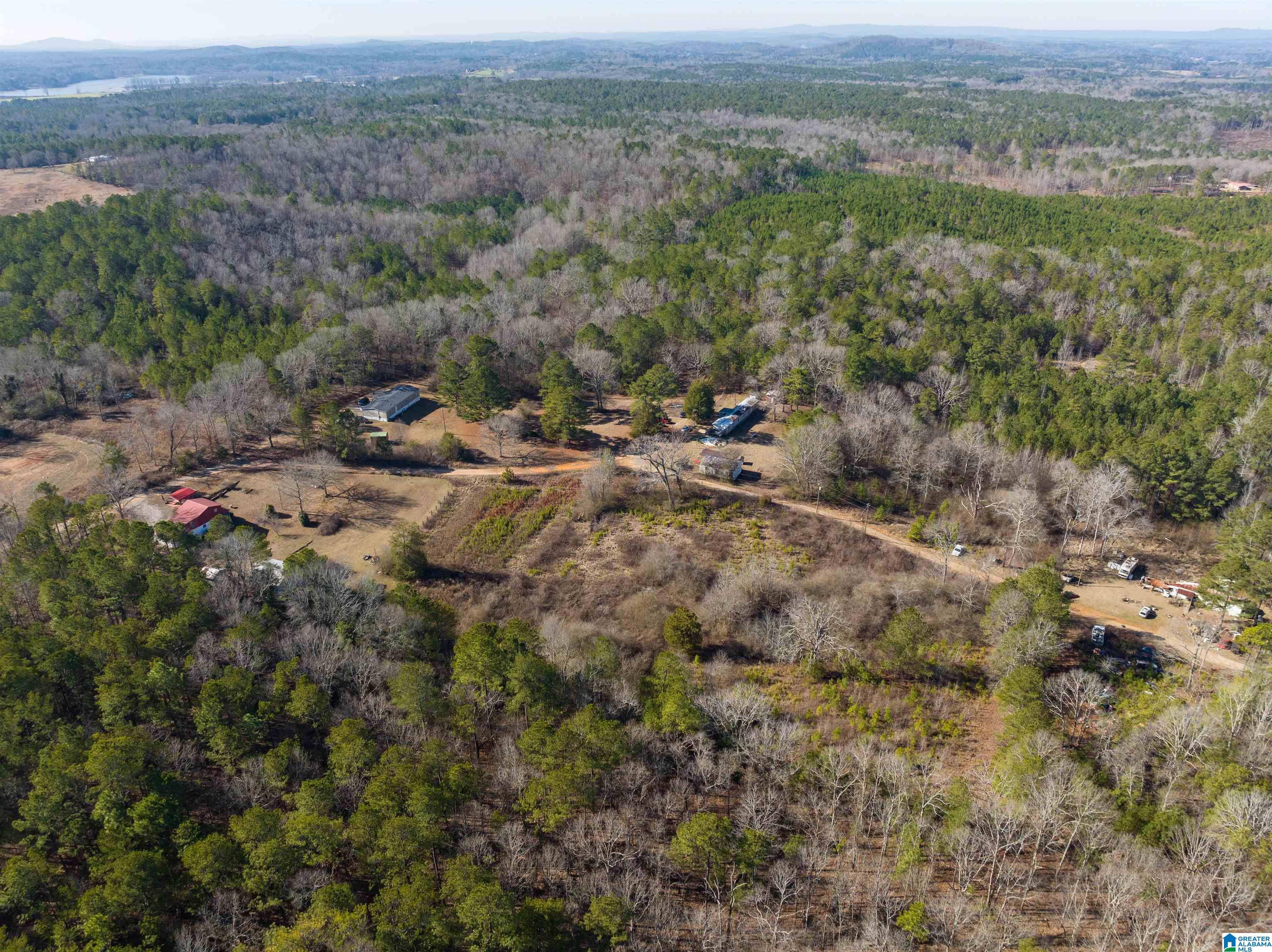 242 Strong Road Talladega, AL 35160 - Photo 42 of 51