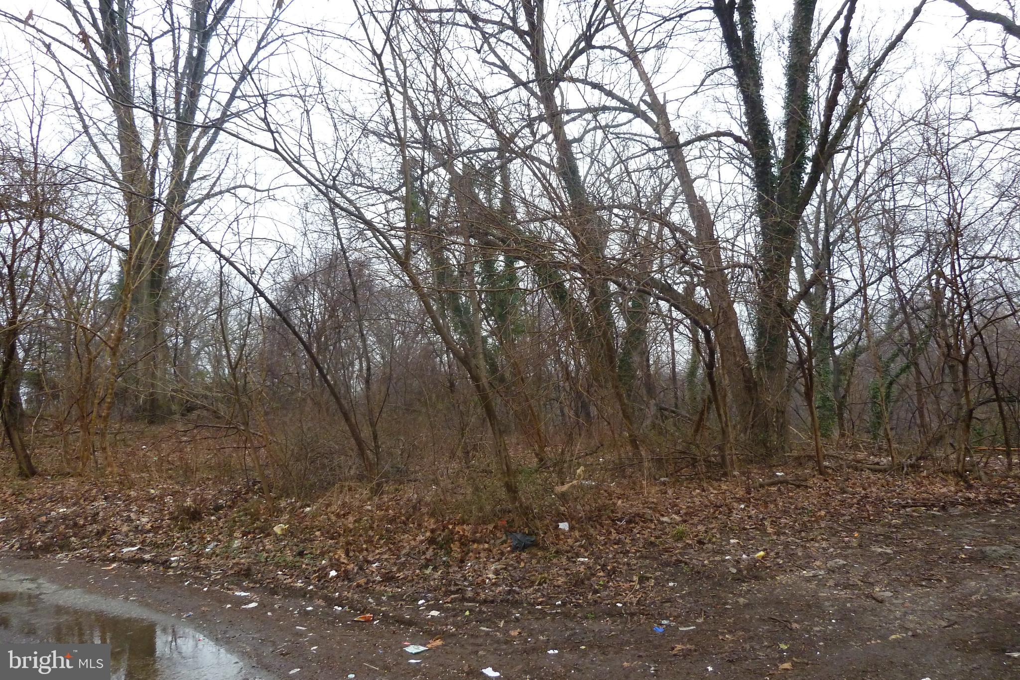 101 Spring Valley Road Darby, PA 19023 - Photo 20 of 21