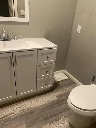 a bathroom with a sink and a toilet