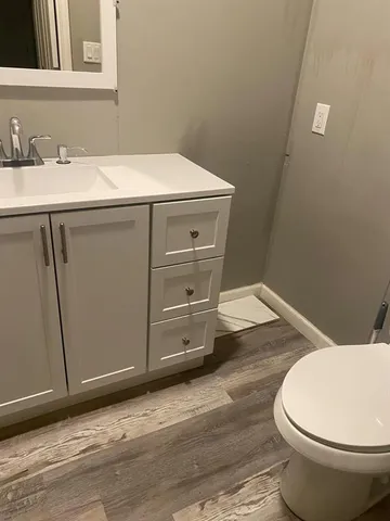 a bathroom with a sink and a toilet