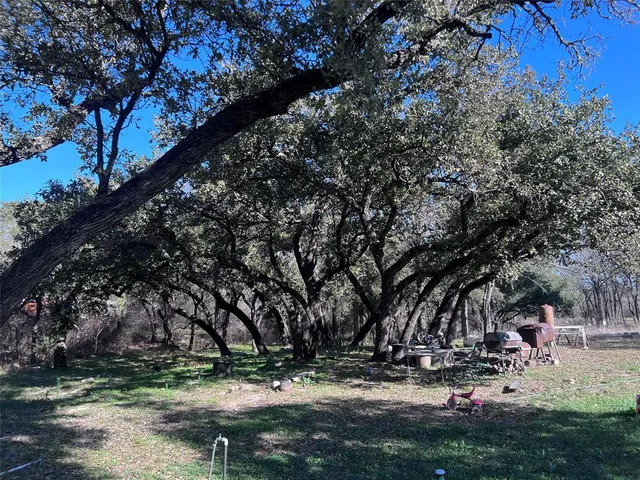 a view of outdoor space with garden