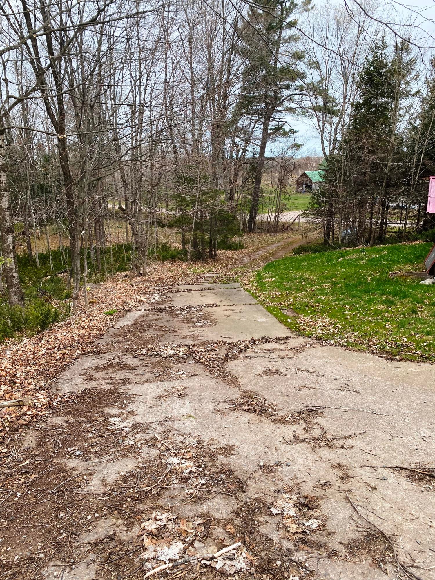 11012 South Tuori Side Road Dafter, MI 49724 - Photo 19 of 30 Gallery Image 19