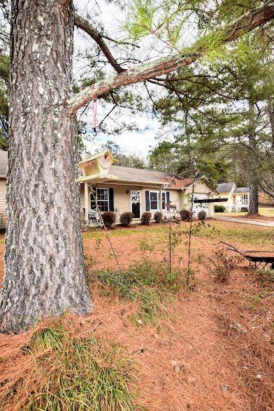 2263 Old Stage Road, Unit 11 Spring City, TN 37381 - Photo 42 of 43 20180376-47