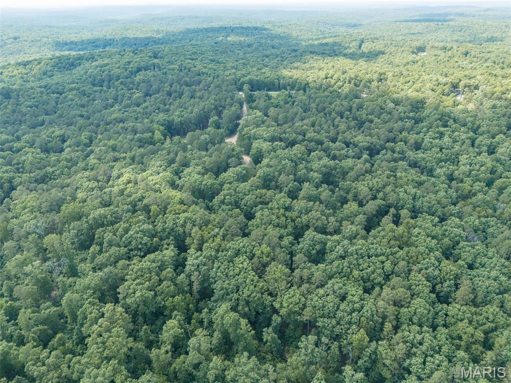 10130 Fish Hook Road Potosi, MO 63664 - Photo 6 of 29