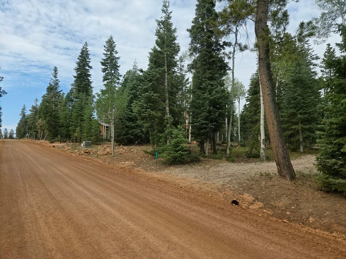 3135 Power Line Road Duck Creek Village, UT 84762 - Photo 12 of 14 Lot & Road1