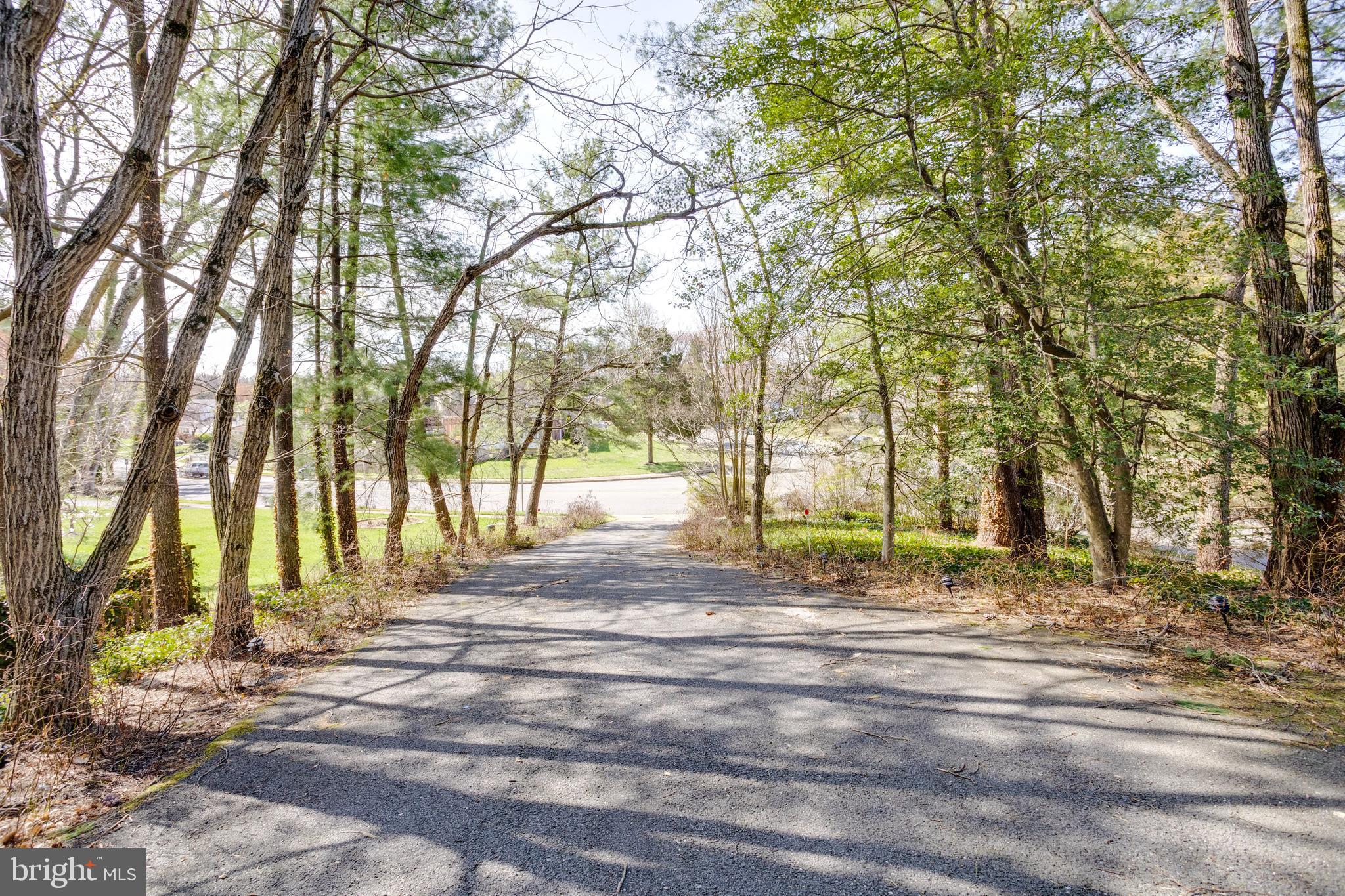 4417 Wakefield Chapel Road Annandale, VA 22003 - Photo 12 of 77