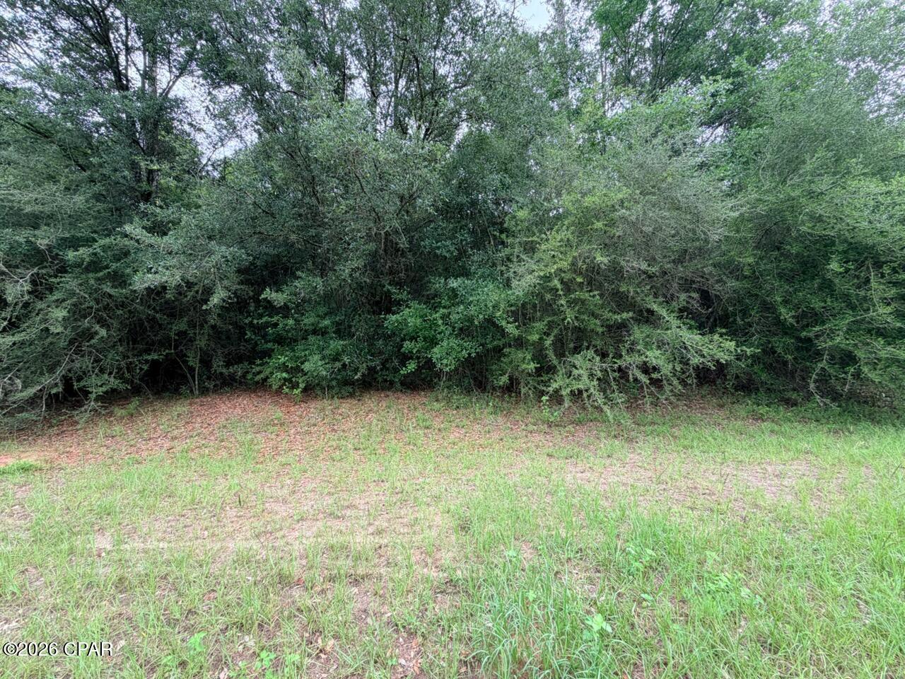 Tbd Sumac Road Westville, FL 32464 - Photo 4 of 10
