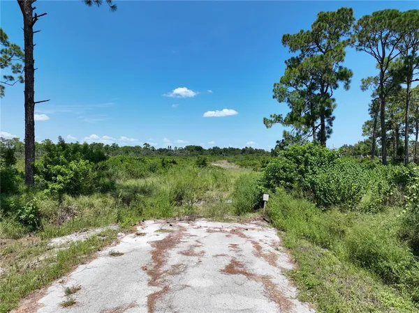a view of a road with a yard