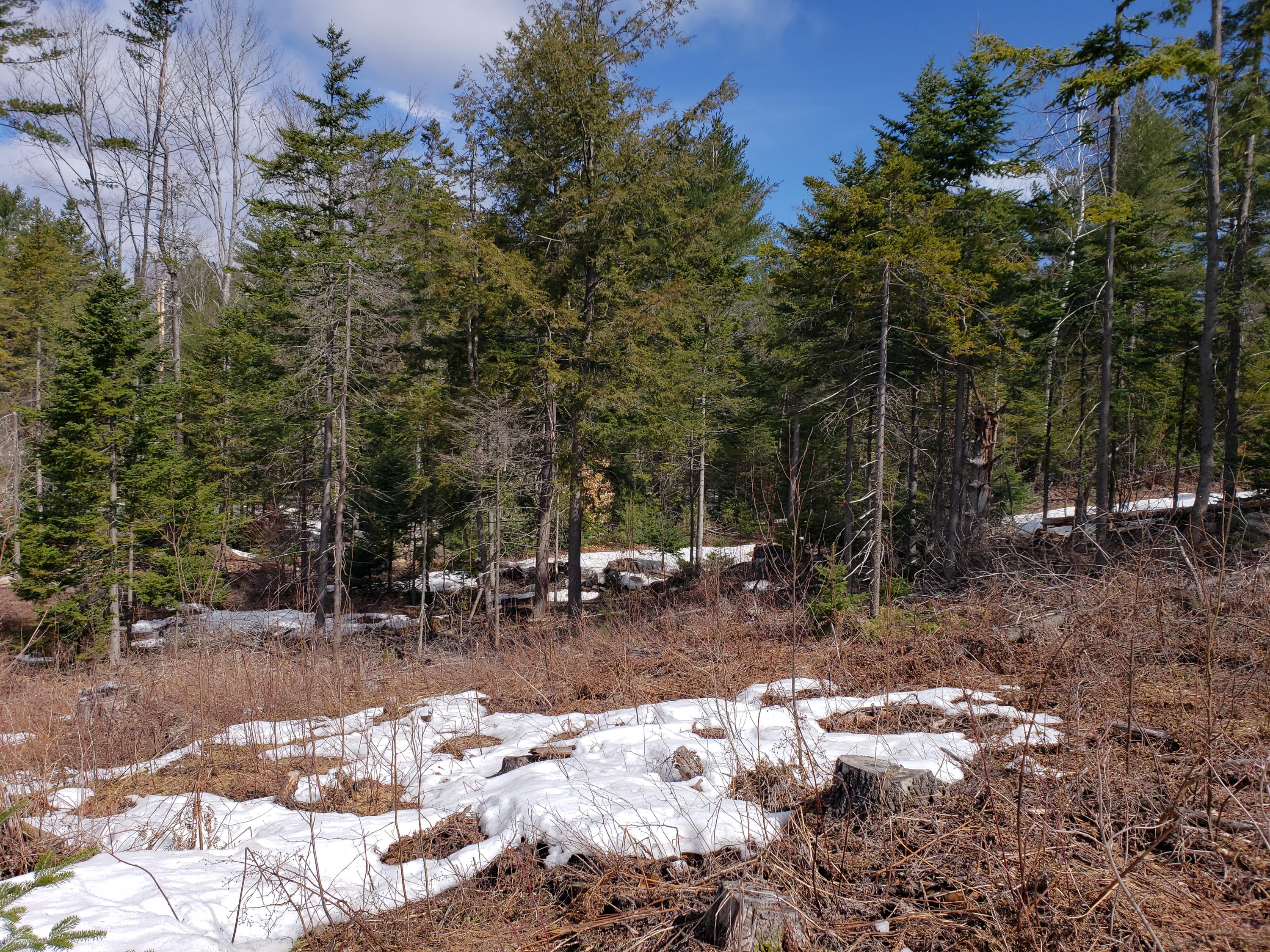 Tbd Lomie Rivers Road Jay, ME 04239 - Photo 8 of 30 20190416_101557