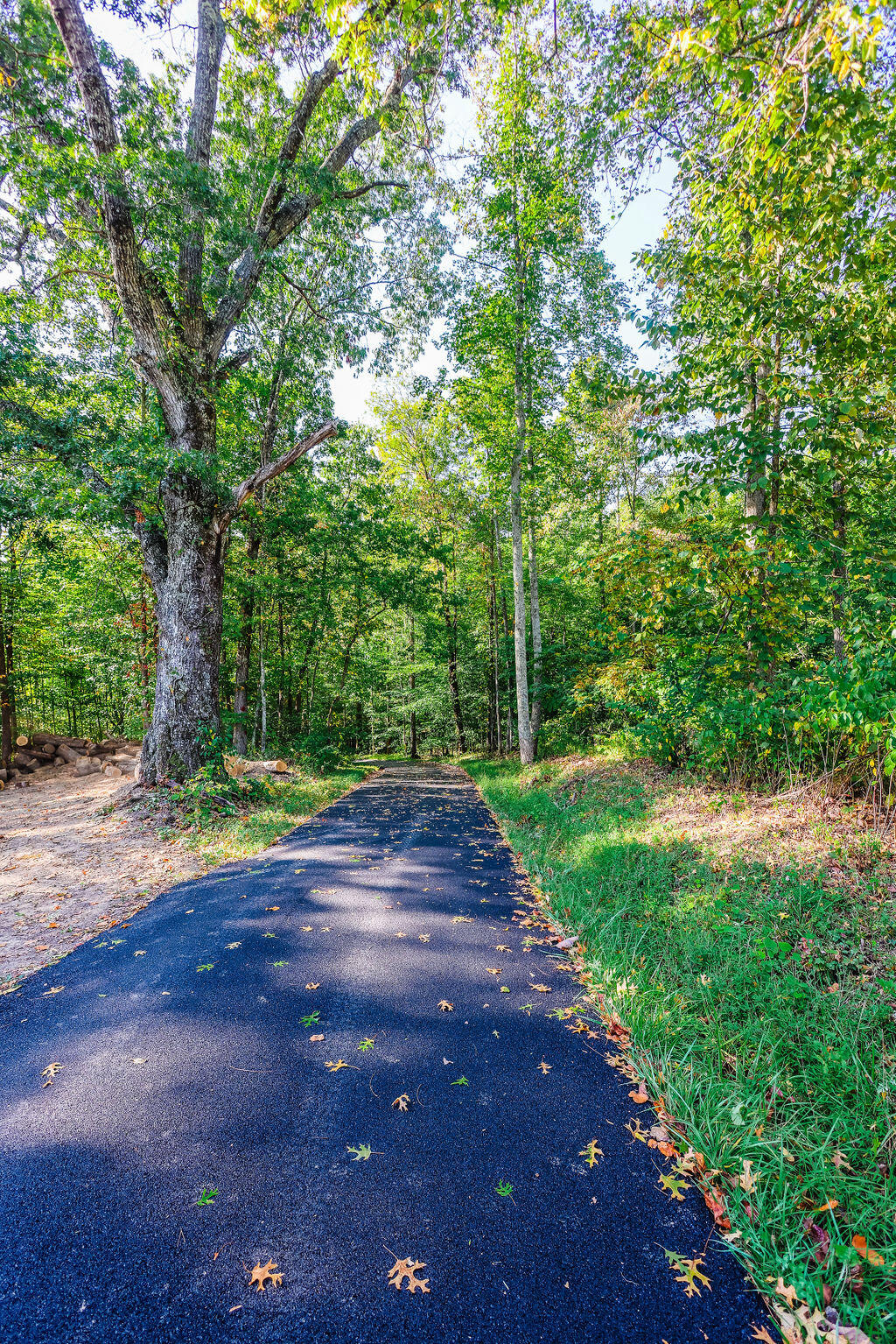 121 Allen Cope Road Frenchburg, KY 40322 - Photo 65 of 73 menifee(68)