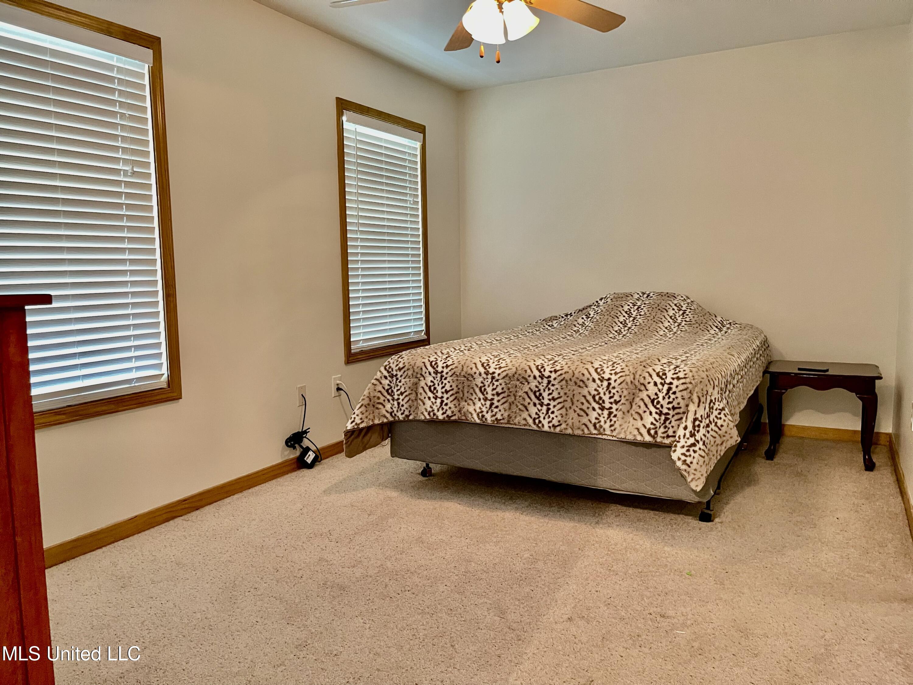 1048 Coal Bluff Road Lena, MS 39094 - Photo 6 of 20 IMG-1907
