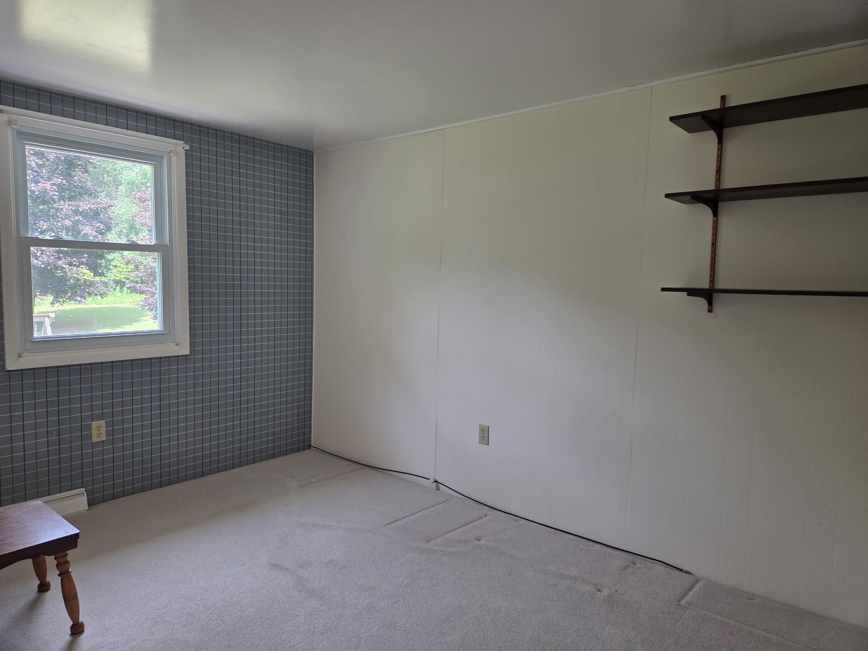 4085 North Cedar Lake Road Edmore, MI 48829 - Photo 6 of 14 20250709_123603